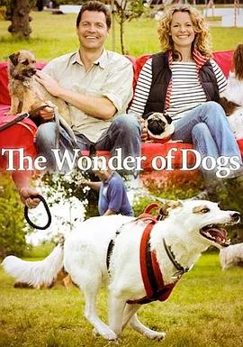 失踪之谜